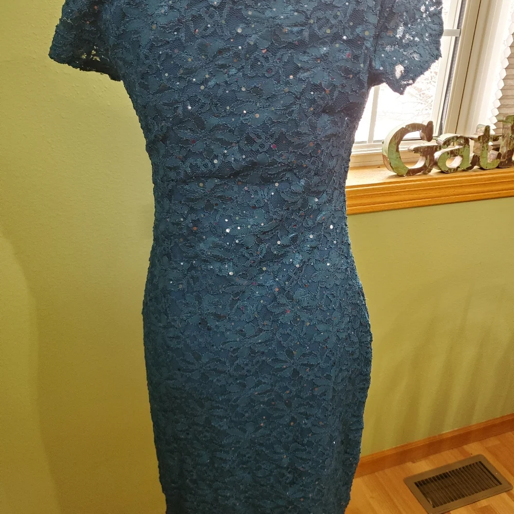 Roz and Ali size 8 dress - Picture 4 of 9